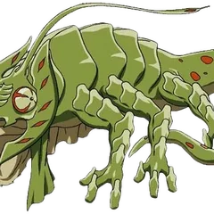 Quadracile portrait